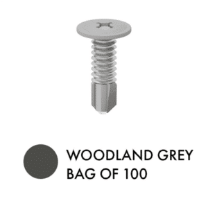 XPS SCREWS - Bag of 100 - G