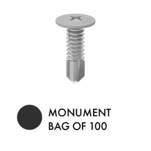 XPS SCREWS - Bag of 100 - MN