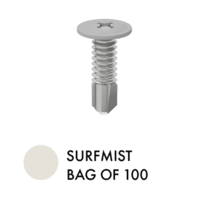 XPS SCREWS - Bag of 100 - SM